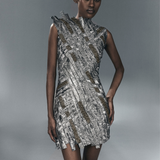 Silver Embroidered Dress