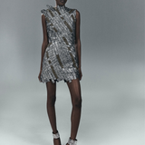 Silver Embroidered Dress