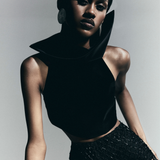 Sculptured Neck Top