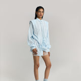 Structured Shoulder Check Shirt Dress