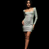 Metallic Fitted Dress